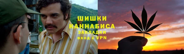 трава Абаза