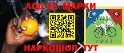шишки Шелехов