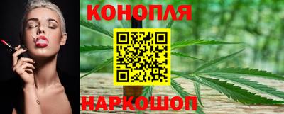 шишки Шелехов