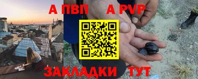 шишки Шелехов